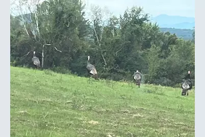 429 Mayville Drive #1, Milton, VT 05468 - Photo 48