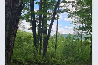 324 Crane Hill Road, Sugar Hill, NH 03486 - Photo 6