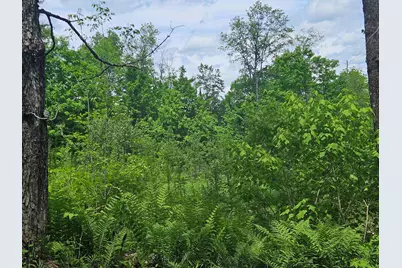 324 Crane Hill Road, Sugar Hill, NH 03486 - Photo 46