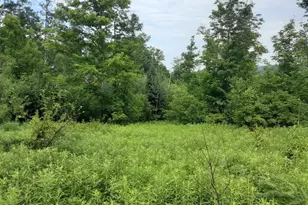 324 Crane Hill Rd, Sugar Hill, NH 03486 - Photo 1
