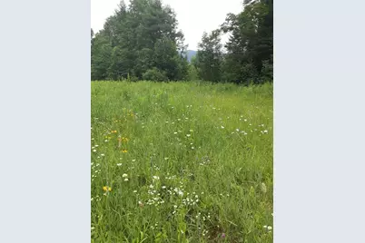 324 Crane Hill Road, Sugar Hill, NH 03486 - Photo 4