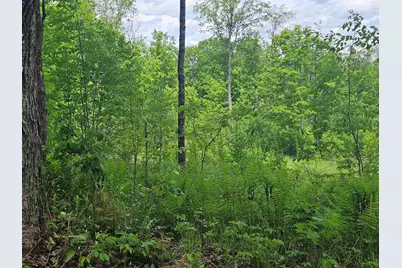 324 Crane Hill Road, Sugar Hill, NH 03486 - Photo 48