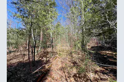 Roby Road, Sutton, NH 03273 - Photo 8