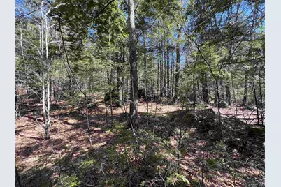 Roby Road, Sutton, NH 03273 - Photo 6