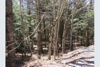 0 Stratton View Road #59, Winhall, VT 05340 - Photo 4