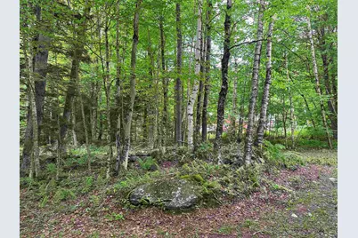 00 Ice Pond Road, Chittenden, VT 05763 - Photo 10