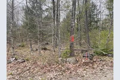 Lot 2 Leighton Corners Road, Wakefield, NH 03872 - Photo 12