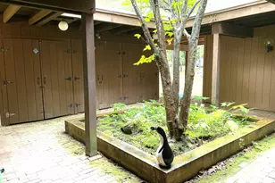 14-28 Sugarhouse Ln, Sunapee, NH 03782 - Photo 14