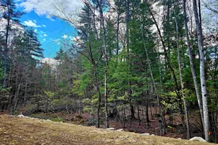 Lot 10 Bay Rd, Farmington, NH 03835 - Photo 6
