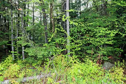 00 West Milan Road #Map 133, Lot 11, Milan, NH 03588 - Photo 6