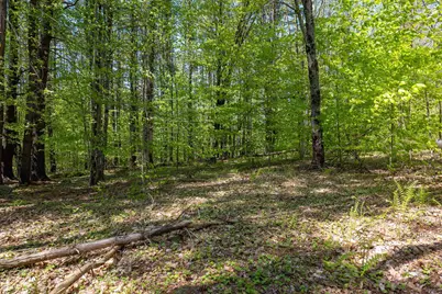 Rowell Drive, Franklin, NH 03235 - Photo 16