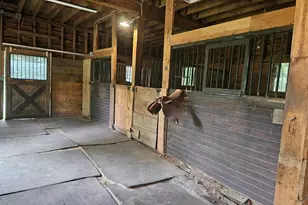 436 Mammoth Rd, Pelham, NH 03076 - Photo 42