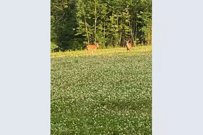 Map 7 Lot 1, 298 Battle Street, Webster, NH 03303 - Photo 12