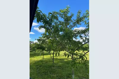 Map 7 Lot 1, 298 Battle Street, Webster, NH 03303 - Photo 4