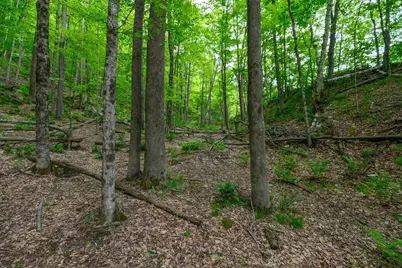 0 East Ash Road, Plymouth, VT 05056 - Photo 2