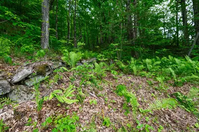 0 East Ash Road, Plymouth, VT 05056 - Photo 6