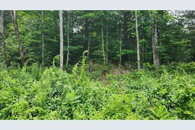 175 Valley Road, New Durham, NH 03855 - Photo 8