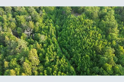 175 Valley Road, New Durham, NH 03855 - Photo 14