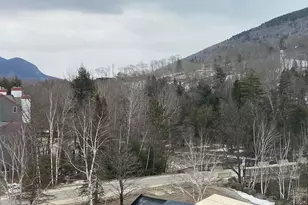 48 Cooper Memorial Dr, Lincoln, NH 03251 - Photo 34