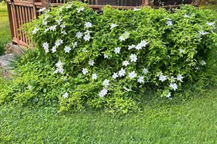 428 N Rd, Salisbury, NH 03268 - Photo 48