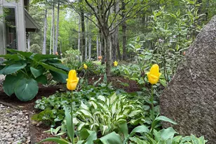 27 Lee Farm Rd, Hancock, NH 03449 - Photo 38