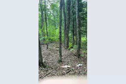 961 Maple Street, Bethlehem, NH 03574 - Photo 12