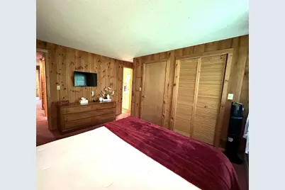 5E Polar Bear N, Dover, VT 05356 - Photo 8