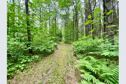 87 Old Chandlers Mills Road, Unity, NH 03743 - Photo 28
