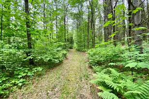 87 Old Chandlers Mills Rd, Unity, NH 03743 - Photo 28