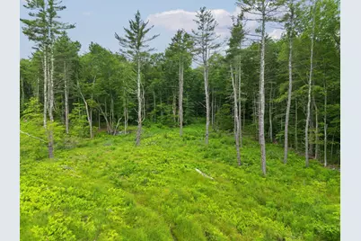 315 Gove Road, Acworth, NH 03601 - Photo 2