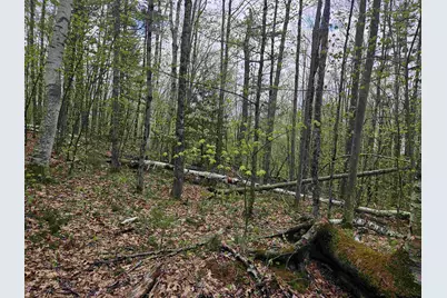 Lot 123 Paulsen Circle, Haverhill, NH 03765 - Photo 22