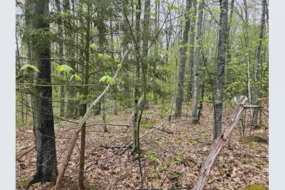 Lot 123 Paulsen Circle, Haverhill, NH 03765 - Photo 18