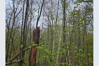 Lot 123 Paulsen Circle, Haverhill, NH 03765 - Photo 10