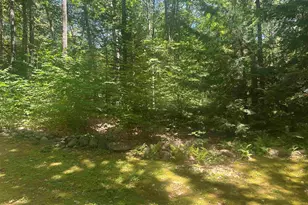 Lot 22 Rand Pond Rd, Goshen, NH 03752 - Photo 4