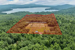 225 Simon Hill Rd, Effingham, NH 03882 - Photo 2