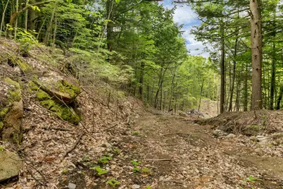 0 Interlaken Drive #55, New Durham, NH 03855 - Photo 6