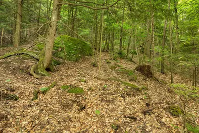 0 Interlaken Drive #55, New Durham, NH 03855 - Photo 2