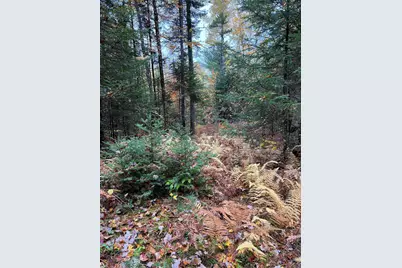 0 Evergreen Drive, Dalton, NH 03598 - Photo 30
