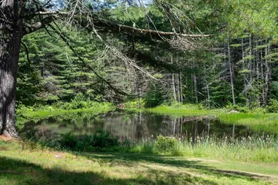 341 Under The Mountain Road, Londonderry, VT 05155 - Photo 28
