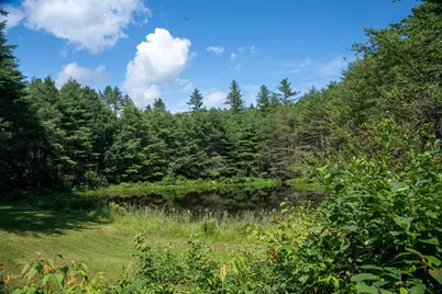 341 Under The Mountain Road, Londonderry, VT 05155 - Photo 2
