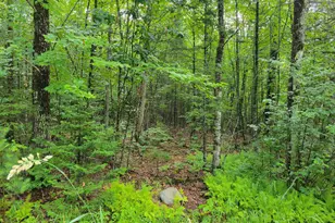 0 Union Hill Rd, Stow, ME 04037 - Photo 1