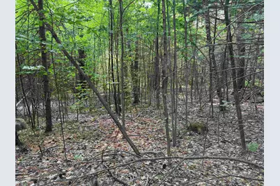 190 Circuit Road, Ossipee, NH 03864 - Photo 14