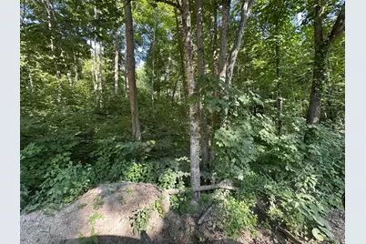 90 Old Swanzey Road, Winchester, NH 03470 - Photo 2
