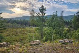 67 Stump Rd, Errol, NH 03579 - Photo 38