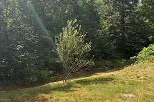 19 Easy Ave, Albany, NH 03818 - Photo 8