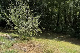 19 Easy Ave, Albany, NH 03818 - Photo 6