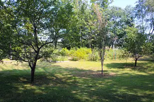 339 Burt Hill Rd, Winchester, NH 03470 - Photo 40