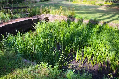 339 Burt Hill Road, Winchester, NH 03470 - Photo 6