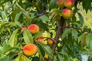 56 Frost Rd, Tyngsborough, MA 01879 - Photo 4