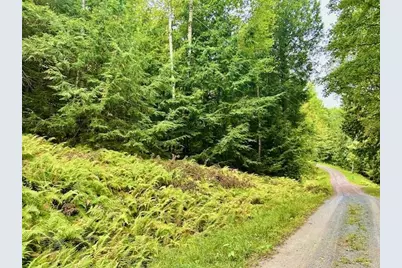 Longfellow Road #4, Haverhill, NH 03785 - Photo 1